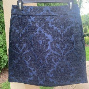 Ann Taylor Loft Skirt, Size 0